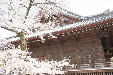 东京，日本2014 年 4 月 1 日 kaneiji 在 4 月 1 日，2014.kaneiji 寺的寺庙于 1625年