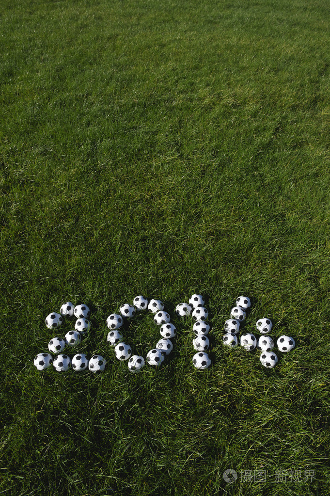2014年用足球足球在草地上的消息