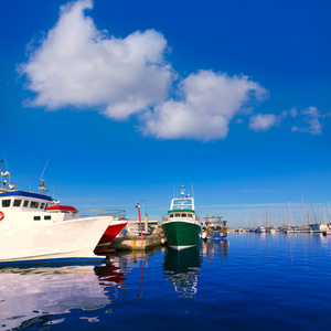 丹尼亚港口 fisherboats 及码头位于西班牙阿利坎特