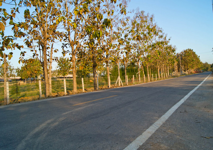 乡村道路