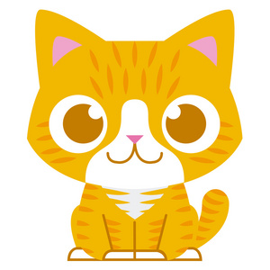 小猫 小动物小猫 小动物小猫 小动物小动物运输箱白色背景猫狗小猫 小