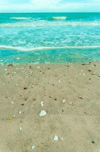 壳牌在海滩上的小石头