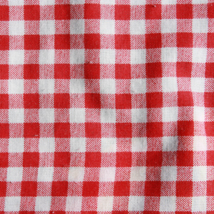 纹理的红色和白色格仔的野餐毯子