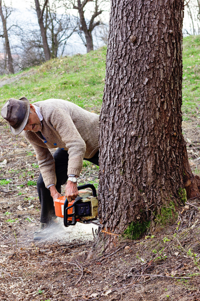 使用电链锯的老人砍伐树木
