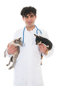 兽医与猫和狗