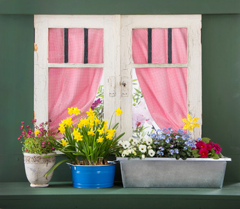 窗台上五颜六色的鲜花与老式的白色窗口框架