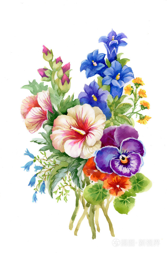 五彩缤纷的野花