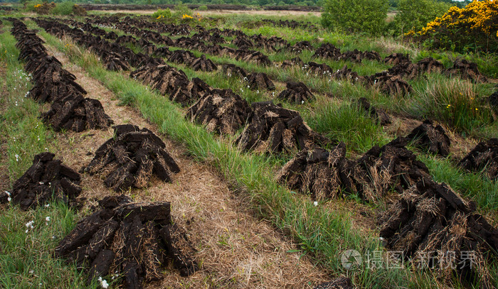 爱尔兰泥炭沼泽领域