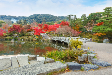 丸山公园 丸山公园 秋天的时候，在京都议定书