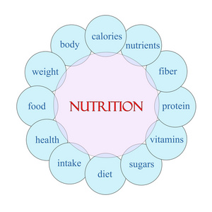 营养循环词概念