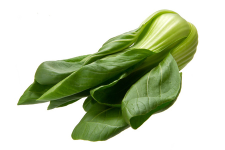 婴儿 bokchoi