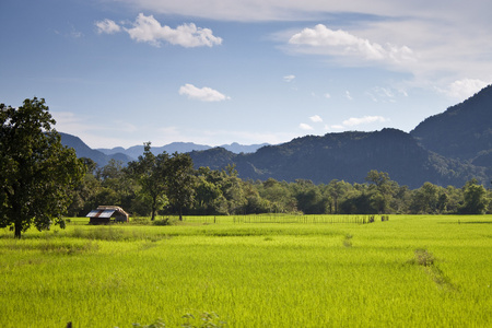 在老挝中部农村