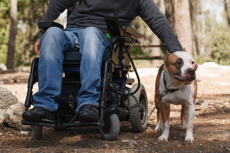 在与他忠实的狗坐在轮椅上的男人