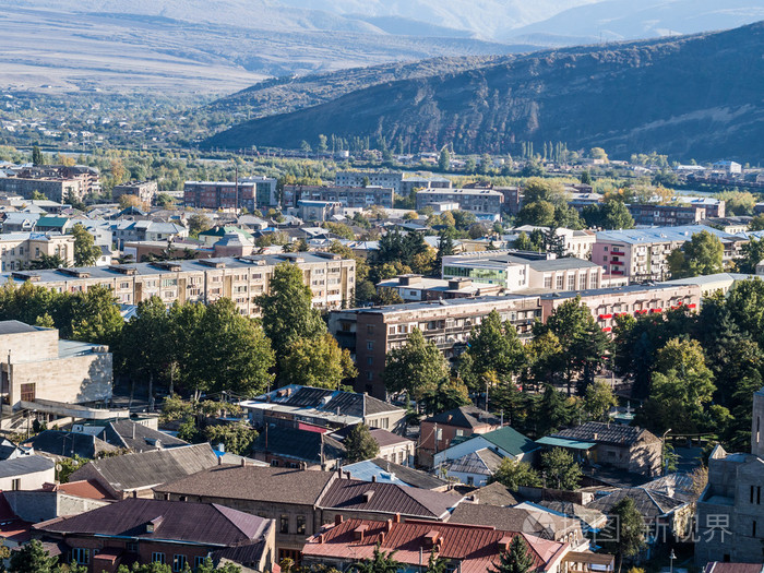 格鲁吉亚哥里的中心