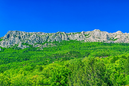 山林景观和绿化照片
