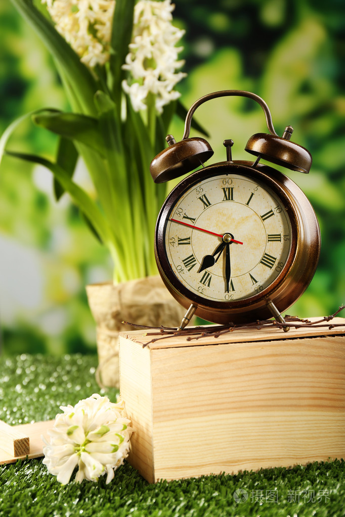 闹钟在绿色草地上对自然背景