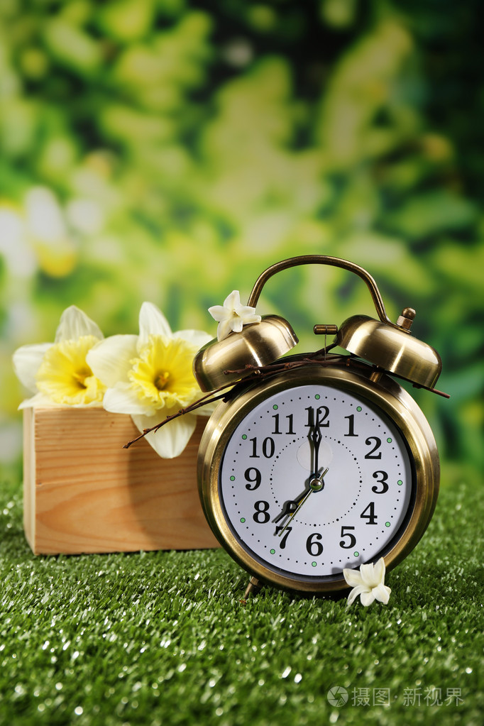 闹钟在绿色草地上对自然背景