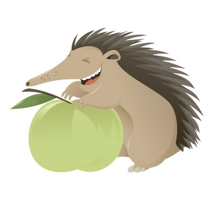 卡通 hedgegog