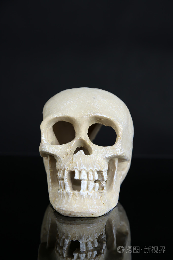 头骨上黑色孤立