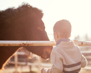抚摸着小马，爱情和亲情的孩子