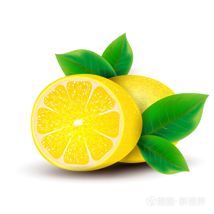 柠檬叶插画-正版商用图片1febrd-摄图新视界