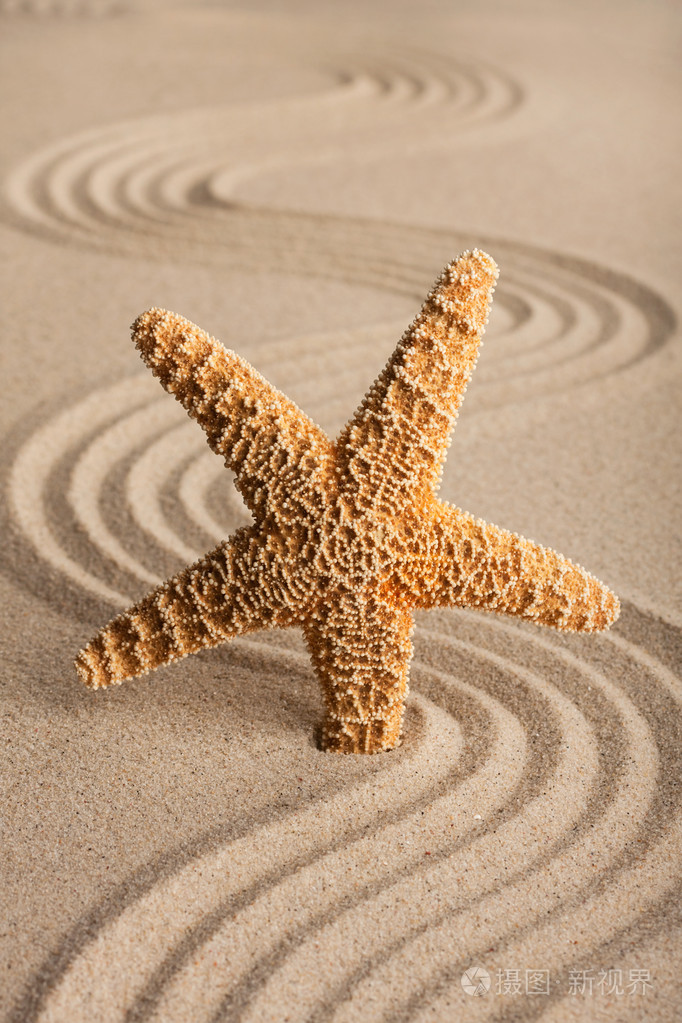 在沙子里的海星