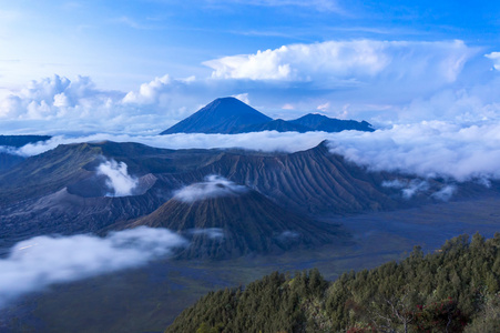 溴和莫山