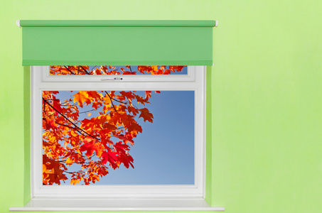 pohled na podzimn list a modr obloha z okna