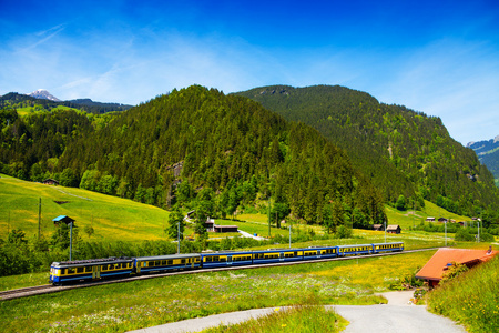 火车穿越瑞士绿色农村