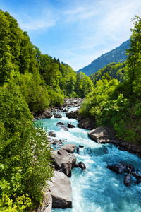 与树在阿尔卑斯山附近的河流