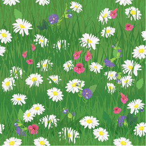无缝模式的青草和野花的纹理背景