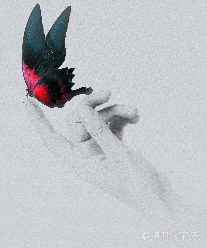 女人的手上的蝴蝶在运动