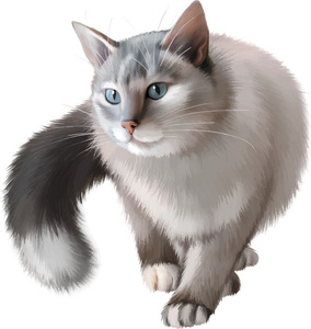 矮人猫图片-矮人猫素材-矮人猫插画-摄图新视界