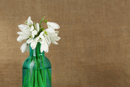 在玻璃中五彩缤纷美丽的雪莲花,瓶中照片