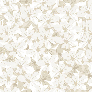 无缝背景与白色的花。矢量插画
