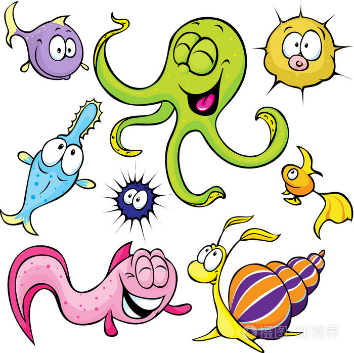 孤立在白色背景上的海洋动物