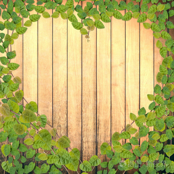 绿色的蔓草缠住植物形如在木板上的心照片-正版商用