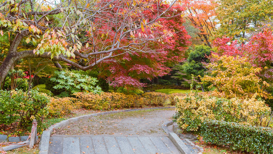 秋天的树叶花园feuilles dautomne jardin