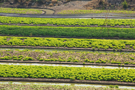 地平线上吊床图片-地平线上吊床素材-地平线上吊床插画-摄图新视界