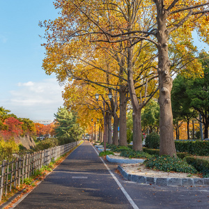 沿侧名古屋城堡在名古屋的行走路径