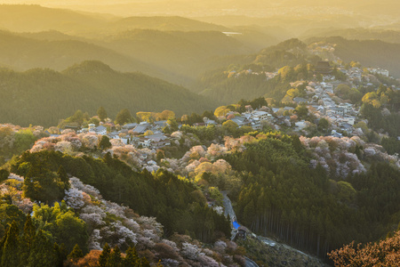 Yoshinoyama，日本