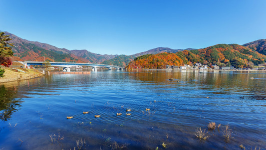 在 fujikawaguchiko 在日本的河口湖 河口