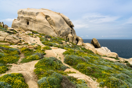 撒丁岛 gallura 瓦德拉卢娜