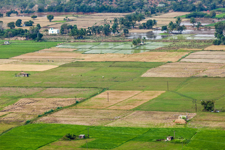 印度农村，稻田，泰米尔纳德邦的 aeiral 视图