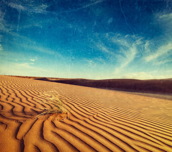 印度 拉贾斯坦邦的塔尔沙漠的沙丘