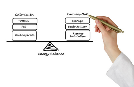 能量摄入和能量消耗之间的平衡