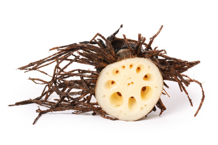 莲藕根状茎 piece照片