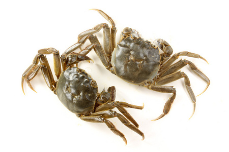 煮熟螃蟹煮熟的螃蟹照片