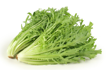 苣荬菜图片