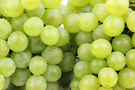 多汁的绿葡萄图片